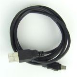  YSI USB A – Mini B Cable 